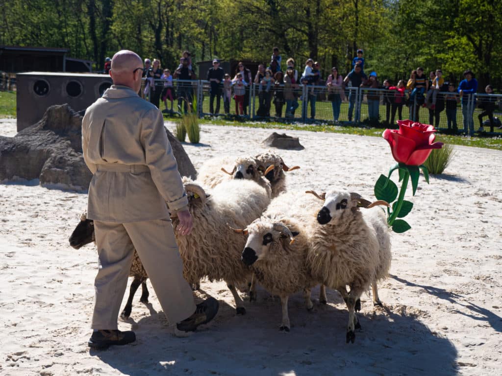 Photo de Le Parc du Petit Prince