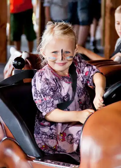 Mini Buffalo Bumper Cars