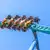 Kings Dominion