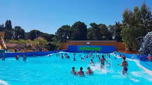 Surf Beach