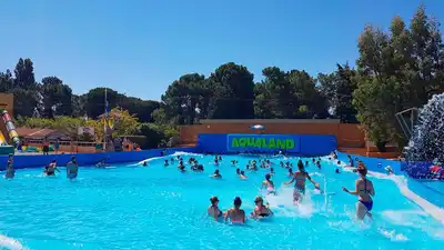 Surf Beach