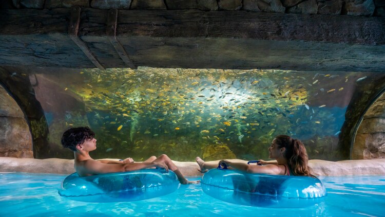 Fish Grotto de Loggerhead Lane à Aquatica Orlando — © Aquatica Orlando