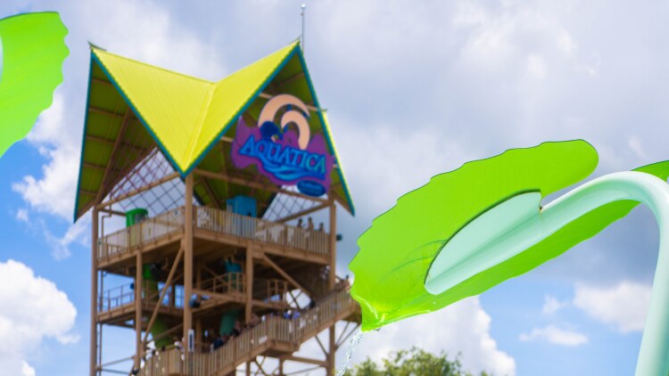 Turi's Kid Cove à Aquatica Orlando — © Aquatica Orlando