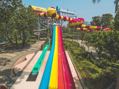 Dragon Race