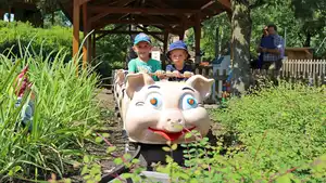Schweinchenbahn
