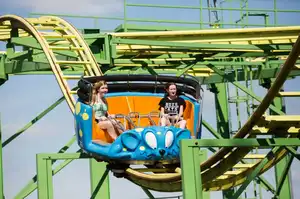 Wild Mouse
