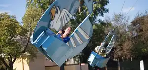 Flying Eagles