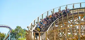 Gold Striker