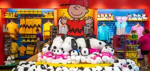 Snoopy Rocks