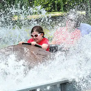 Log Flume