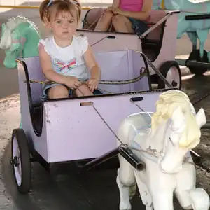 Pony Carts