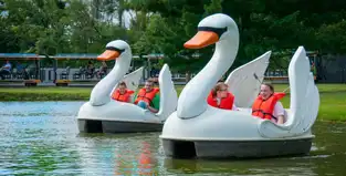 Swan Lake à Camden Park — © Camden Park