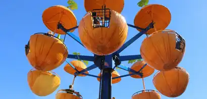 The Pumpkin Patch