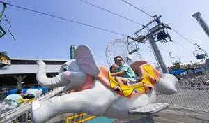 Elephant Express