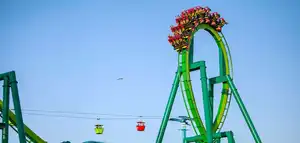 Raptor