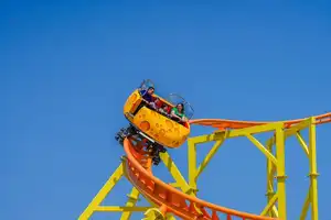 Wild Mouse