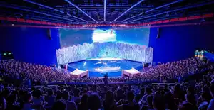 Beluga Show
