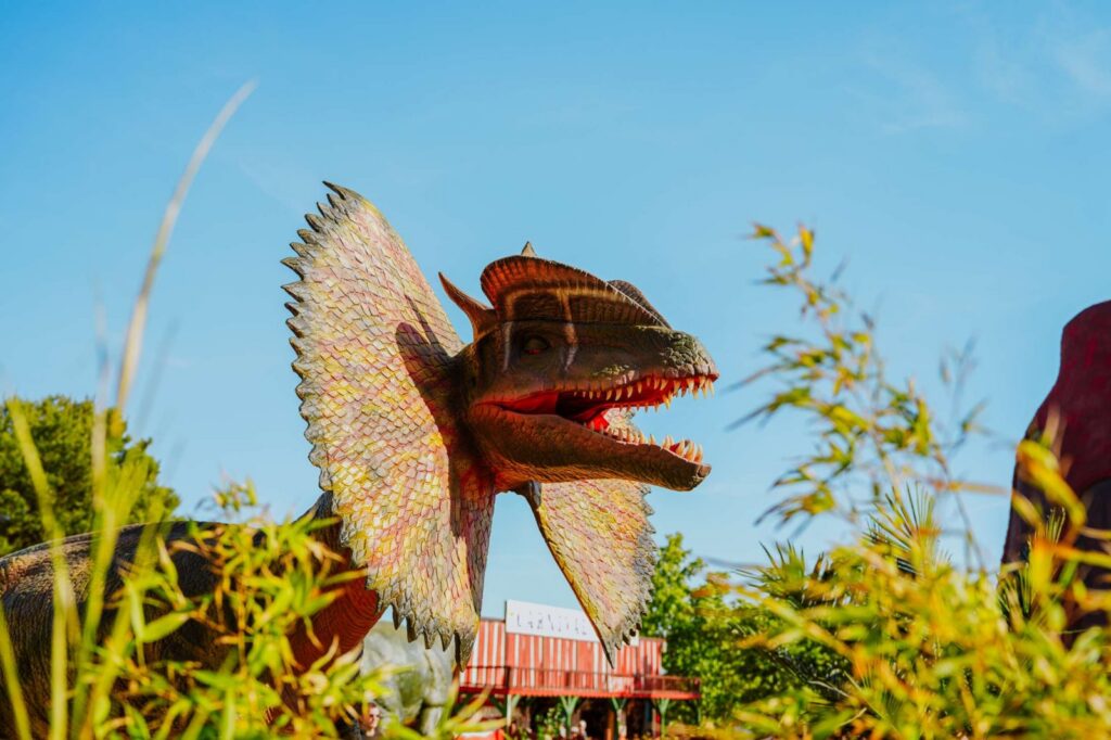 Dino World à Dalmaland — © Dalmaland