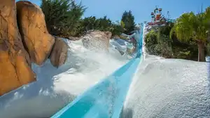 Slush Gusher