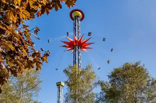 Star Flyer Sedmoe Nebo à Divo Ostrov — © Divo Ostrov