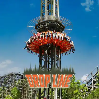 Drop Line