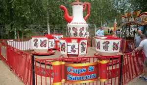 Cups & Saucers
