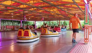 Dodgems
