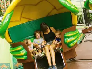 Turtle Whirl