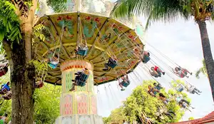 Flying Fiesta