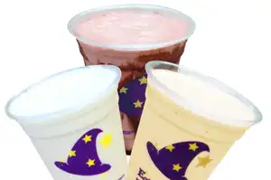 Magnolia Ice Cream Flavor Shop