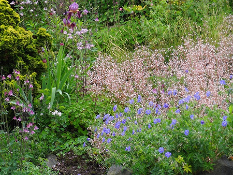 Jardins paysans à Erlebnispark Steinau — © Erlebnispark Steinau