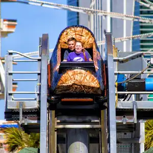Log Flume