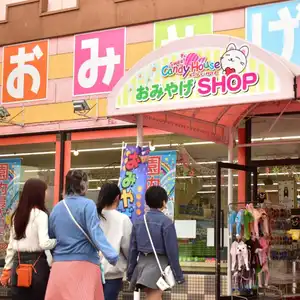 Candy House