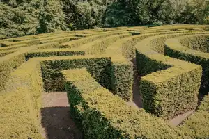 Adventure Land Maze