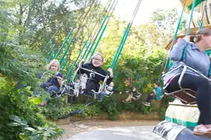 Tree Top Swings