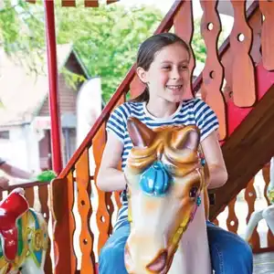 Lilliput Carousel