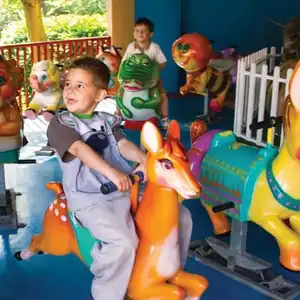 Ellie's Animal Merry Go Round