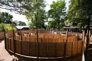 Masai Maze