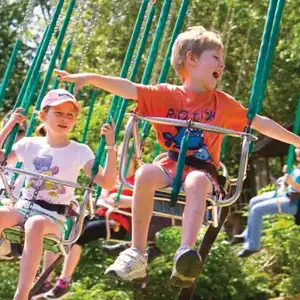Tree Top Swings