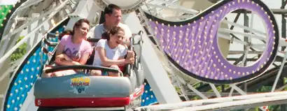 Wild Mouse