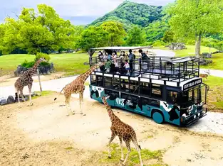 L’Observation Ride dans la Drive-Thru Safari à Himeji Central Park — © Himeji Central Park