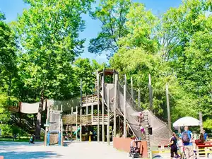 Suspension Bridge