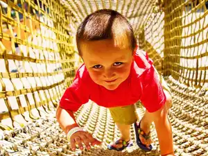 Tunnel Crawl