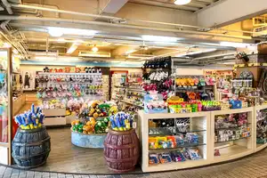 Viking Store