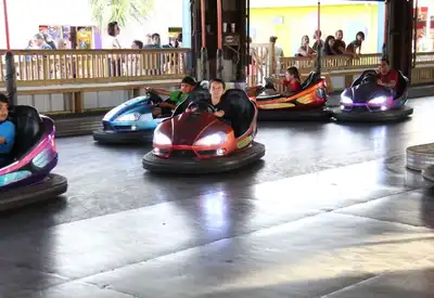 Bumper Cars