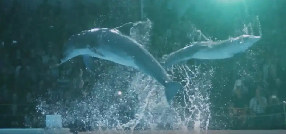 Marine World