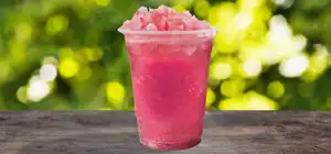 Slushoasen