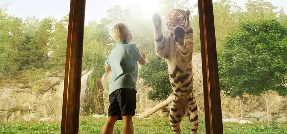 Tiger World