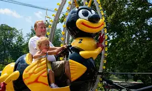 Bumble Bees