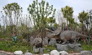 Le Royaume secret de la forêt tropicale